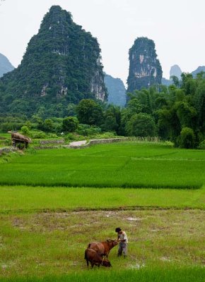Yangshuo