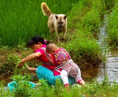 Yangshuo