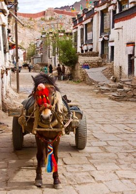 The old city of Gyangze