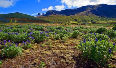 Iceland