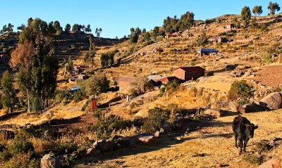The landscape of Taquile 