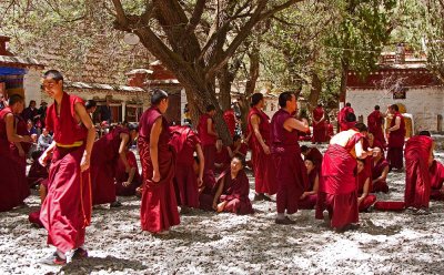 Monks in the Sera Monastery, Lhasa