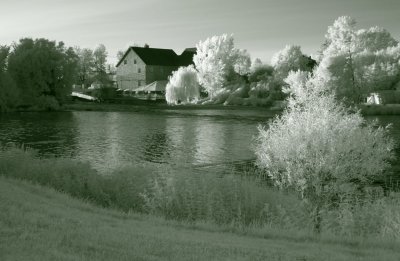 Bucolic Restaurant