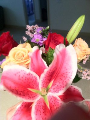 Flowers