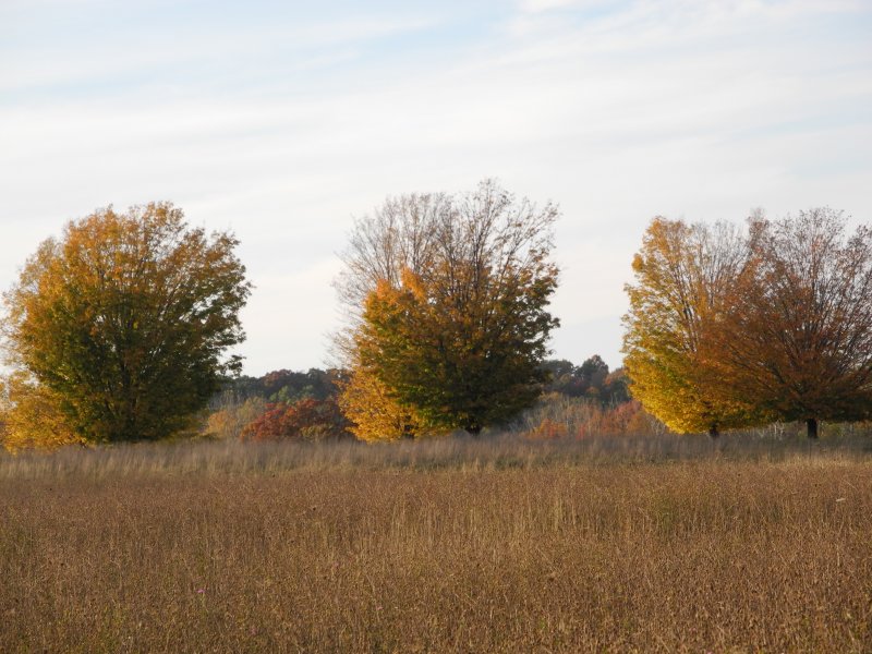 DSCN6890.JPG