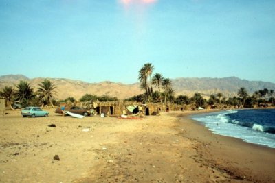 Dahab oasis.jpg