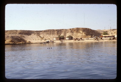 Image11_resize.jpg