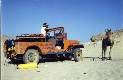 img150_resize.jpg
