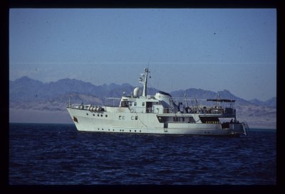 Fantasea 2 off Sinai Shore_resize.jpg