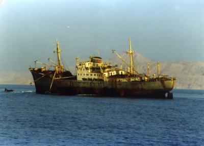 Louellia on Gordon Reef Tiran Straits_resize.jpg