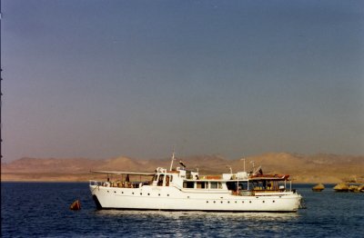img108_resize.jpg