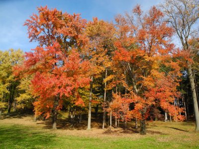 DSCN6777.JPG