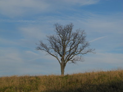 DSCN6882.JPG