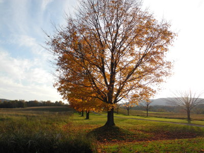 DSCN6910.JPG