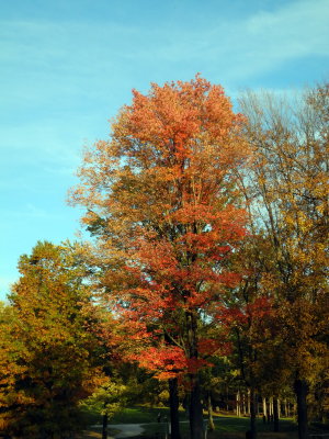 DSCN6939.JPG