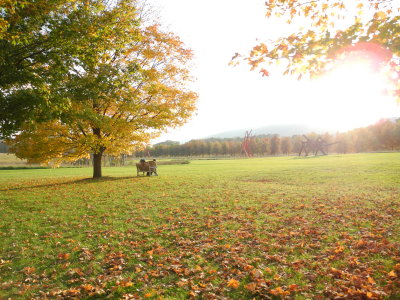 DSCN6924.JPG