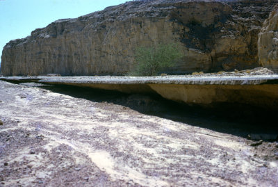 Flood of 1979