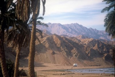 Sinai Coastline