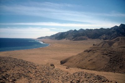 Sinai Coastline