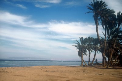 Sinai Coastline