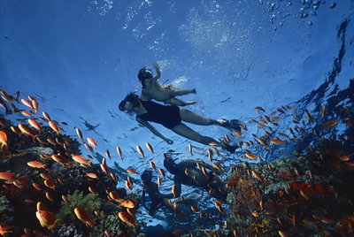 Rosenstein family snorkeling from National Geographic April 1982