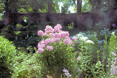 KG_2641.JPG