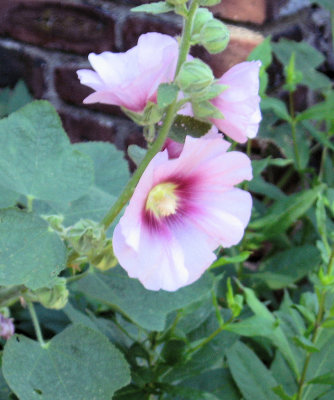 KG_0342.JPG