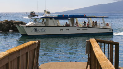 Lots of tours and fishing charters at Lahaina Harbor