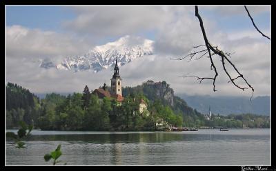 Slovenia, Bled 7141.jpg