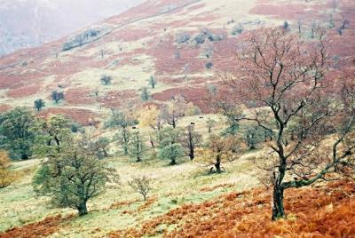 Lake District