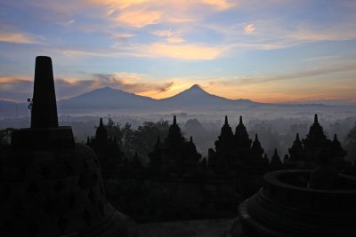 IMG_1295.jpg