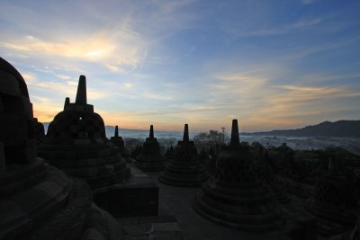 IMG_1317.jpg