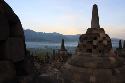 IMG_1328.jpg