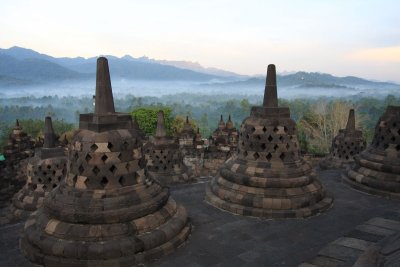 IMG_1329.jpg