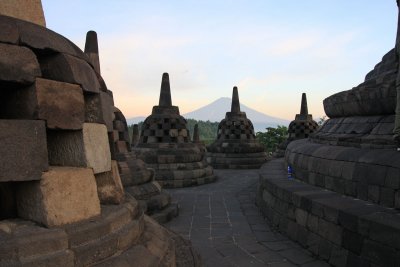 IMG_1330.jpg