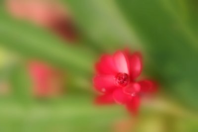 IMG_0842.JPG