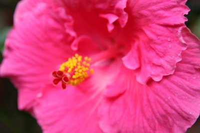 IMG_8219.JPG