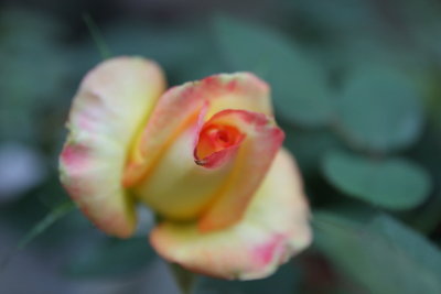 IMG_3978.JPG