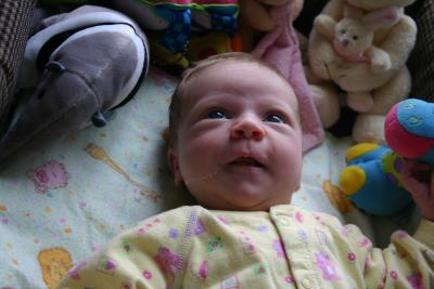 May 5 2006
