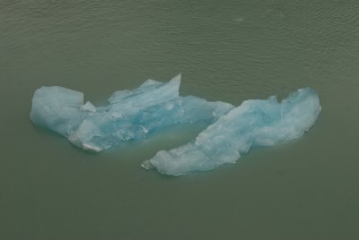 Piece of a glacier floating by 2.jpg