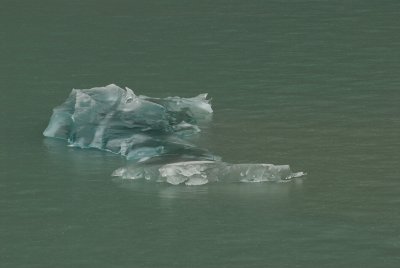 Piece of a glacier floating by.jpg
