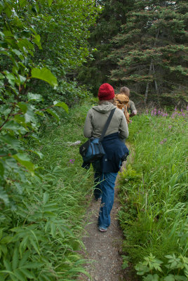 Hiking outside of Skagway.jpg