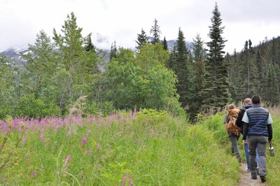 Our hiking group outside of Skagway.jpg