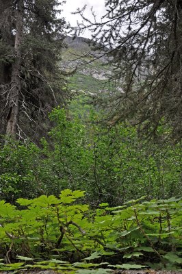 Outside of Skagway 2.jpg