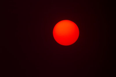 _MG_7172.jpg
