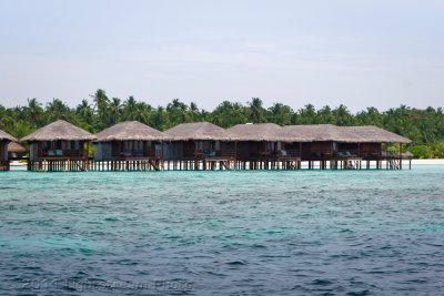 w085.jpg
