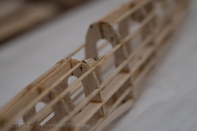 wIMG_0707.jpg