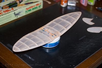 wIMG_0899.jpg