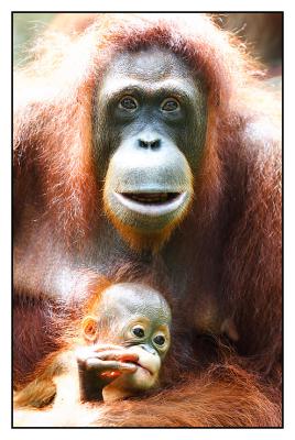 Ah Meng & child