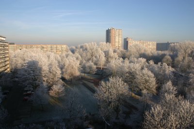 Winterfrost...backside Apartment.